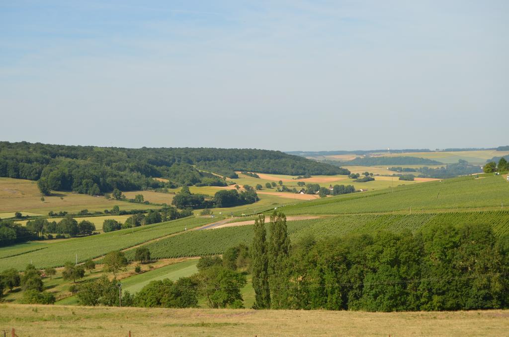 Chambres D'Hotes & Champagne Douard La Chapelle-Monthodon Exterior photo